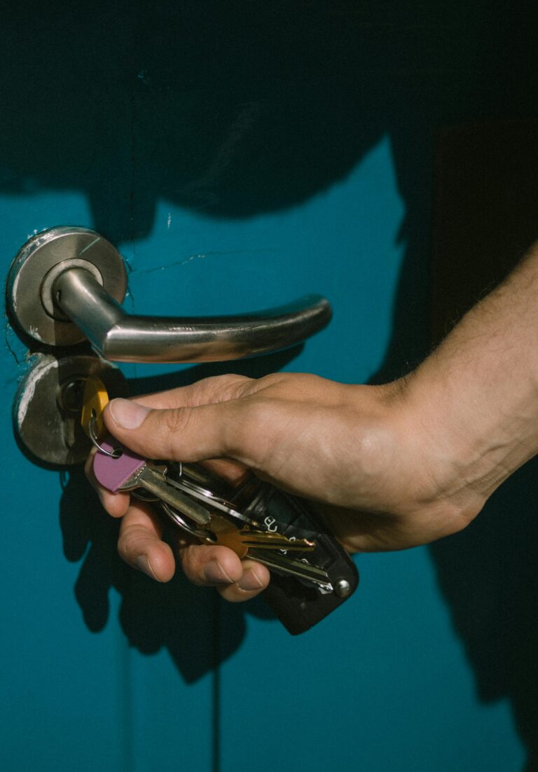 pexels-lisa-fotios-16955319